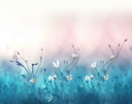 Backgrounds / پس‌زمینه‌ها 